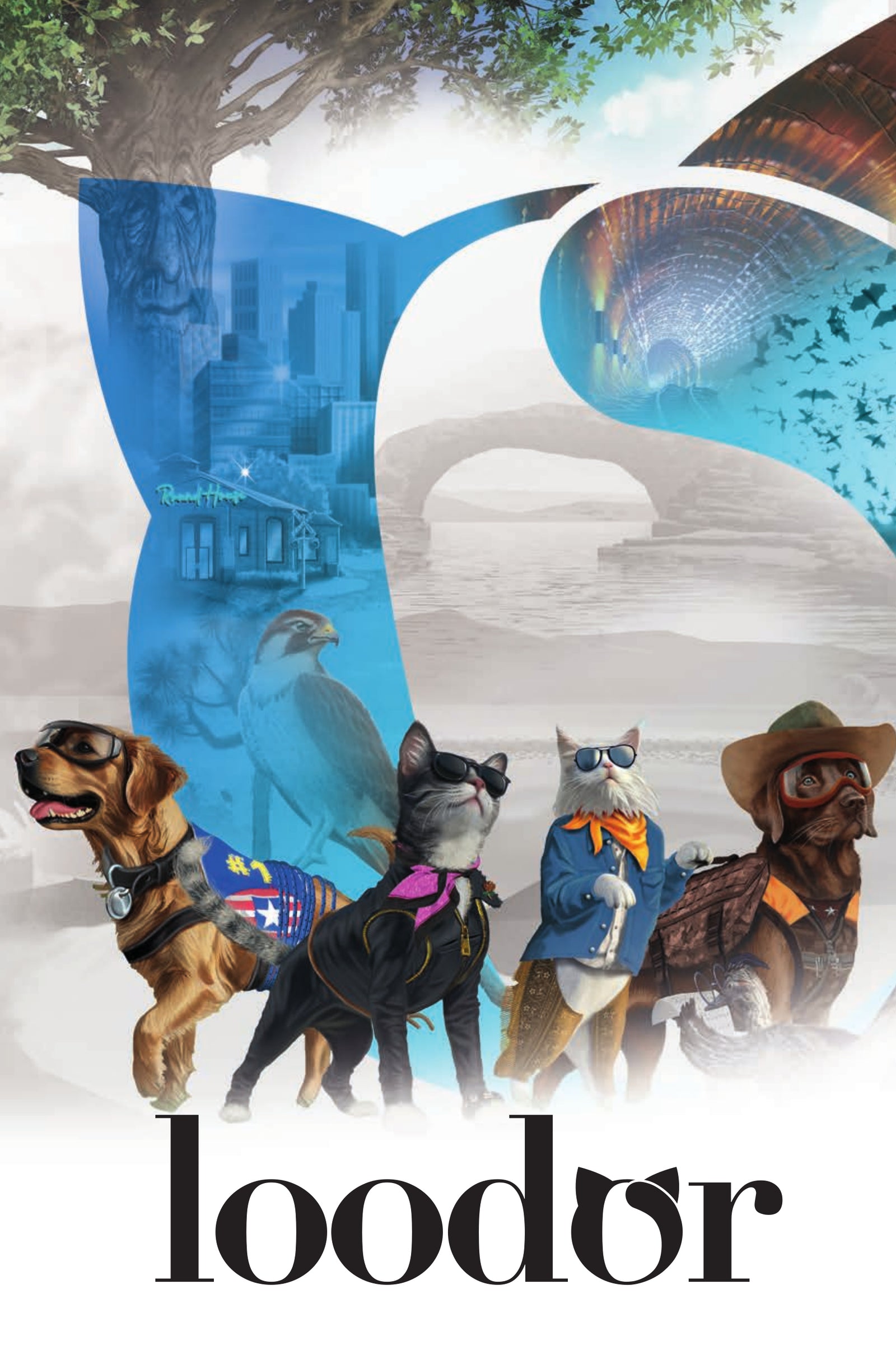 files/Loodor_Brochure-thumbnail.jpg